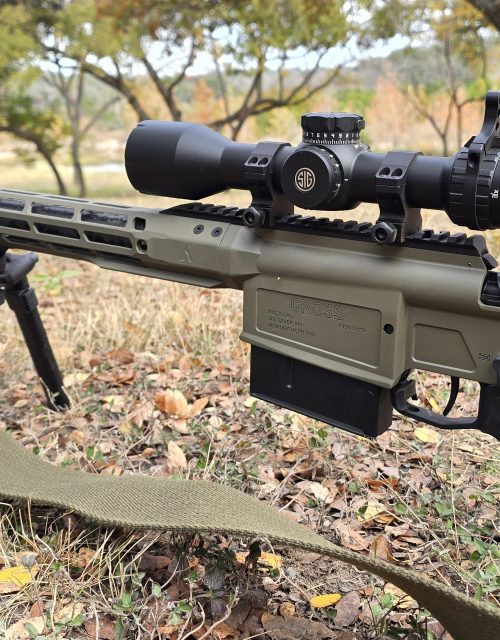 CROSS-MAGNUM SAWTOOTH