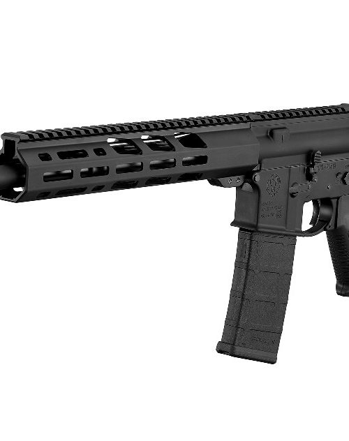 Ruger Harrier 5.56 16.1" Barrel 30-Rounds w/ Magpul Furni... Ruger Harrier 5.56 16.1" Barrel 30-Rounds w/ Magpul Furni... - rifles - Republic Arms WA