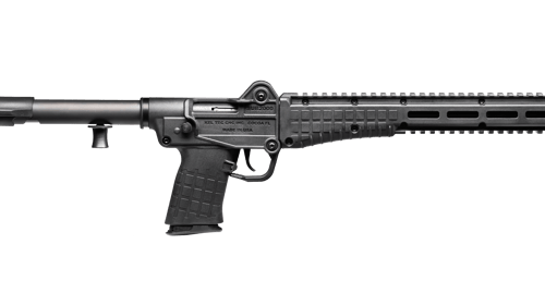 AR-15 Rifles Direct - rifles | Republic Arms WA