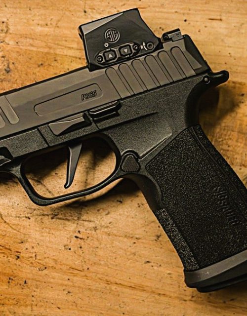 SIG Sauer P365 FUSE Comp 9mm w/ ROMEO-X Red Dot - Compact Pistols | Republic Arms WA